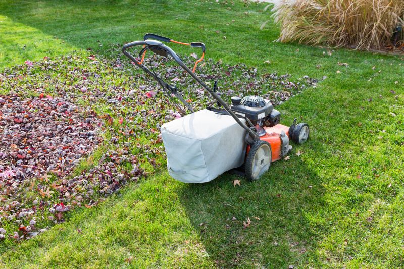Fall Lawn Care Equipment