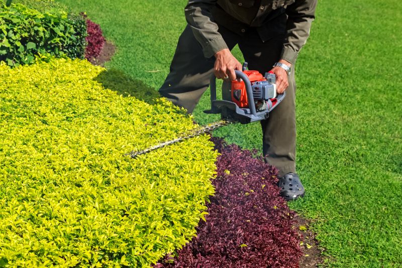 Can Improve Shrub Size